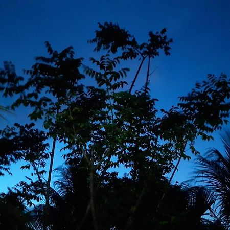 Recanto Vendramel Bezerra Jijoca de Jericoacoara Εξωτερικό φωτογραφία